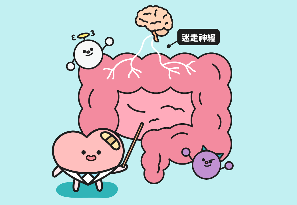 【醫學小學堂】你的腸道是生態系🦠